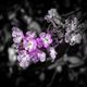 Image for article titled Shooting Challenge: Spring Gallery 2